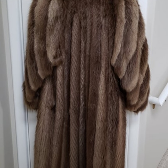 Beaver - Picture 2 of 2